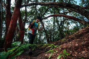 BIB: 
                            <button type="button" onclick="openModal(26346966)" class="btn btn-primary btn-sm float-right btn-popup" data-toggle="modal" data-target=".modal-high-quality">
                        <i class="fas fa-shopping-cart"></i> Add to Cart
                    </button>
                                            <button type="button" onclick="isThisMe(26346966, true)" class="btn btn-success btn-sm float-right btn-popup btn-isme hidden" data-toggle="tooltip" data-placement="bottom" title="นี่คือรูปของคุณใช่ไหม คลิกที่นี่เพื่อเอาเข้าอัลบั้ม">
                        <i class="fas fa-plus"></i> Add to album
                    </button>
                    <button type="button" onclick="isThisMe(26346966, false)" class="btn btn-warning btn-sm float-right btn-popup btn-isnotme hidden">
                        <i class="fas fa-ban"></i> Remove from album
                    </button>